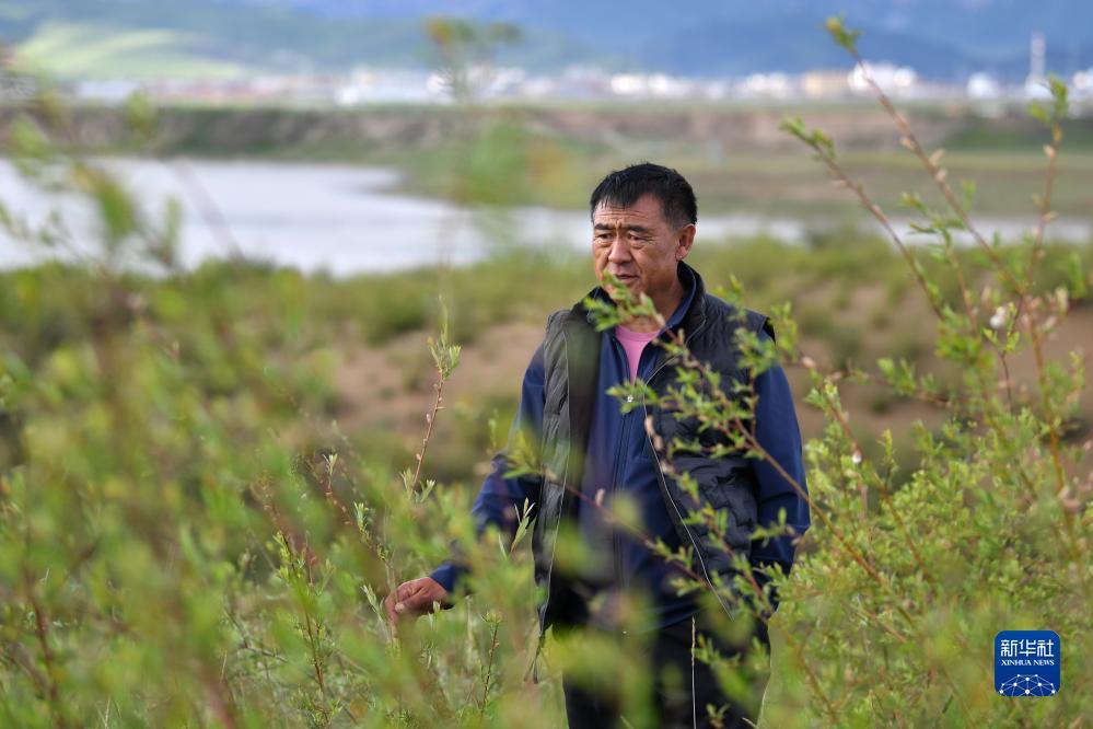 万能捕鱼辅助器